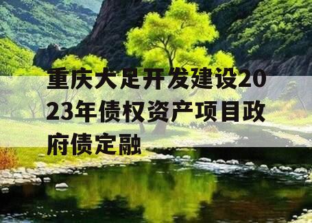 重庆大足开发建设2023年债权资产项目政府债定融