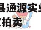 大英县通源实业2023债权拍卖