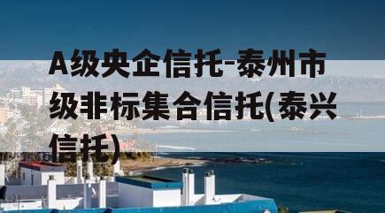 A级央企信托-泰州市级非标集合信托(泰兴信托)