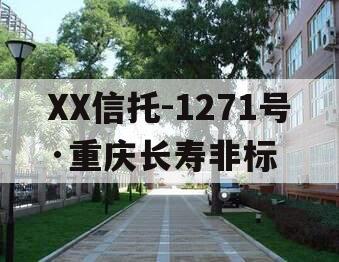 XX信托-1271号·重庆长寿非标