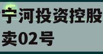 天津宁河投资控股的债权拍卖02号