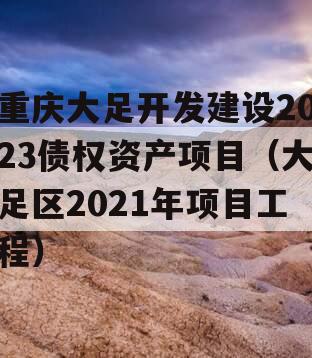 重庆大足开发建设2023债权资产项目（大足区2021年项目工程）