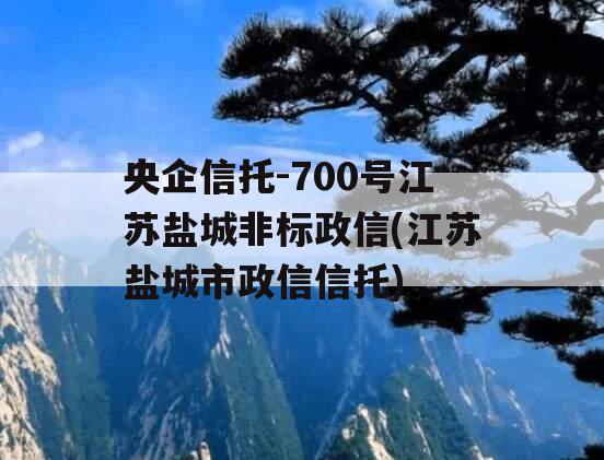 央企信托-700号江苏盐城非标政信(江苏盐城市政信信托)