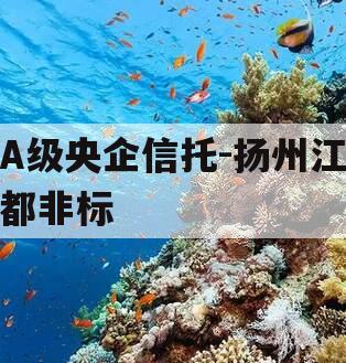 A级央企信托-扬州江都非标