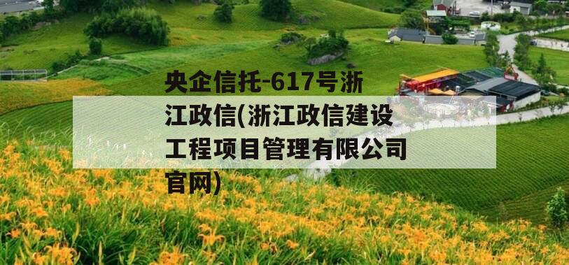央企信托-617号浙江政信(浙江政信建设工程项目管理有限公司官网)