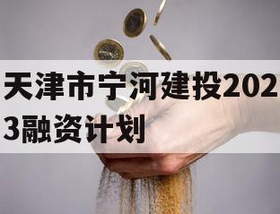 天津市宁河建投2023融资计划