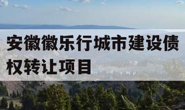安徽徽乐行城市建设债权转让项目