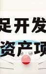 重庆大足开发建设2023债权资产项目