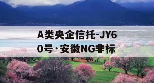 A类央企信托-JY60号·安徽NG非标