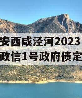 西安西咸泾河2023年政信1号政府债定融