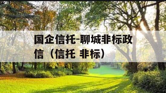 国企信托-聊城非标政信（信托 非标）