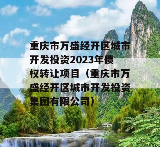 重庆市万盛经开区城市开发投资2023年债权转让项目（重庆市万盛经开区城市开发投资集团有限公司）