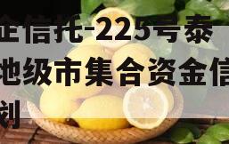 央企信托-225号泰州地级市集合资金信托计划
