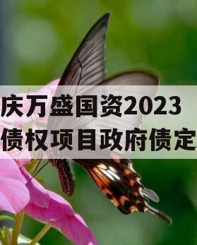 重庆万盛国资2023年债权项目政府债定融