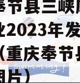 重庆奉节县三峡库区生态产业2023年发展债权（重庆奉节县三峡之巅图片）