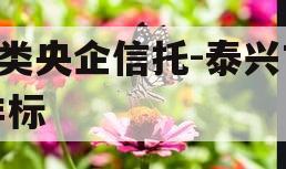 A类央企信托-泰兴市非标