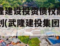 武隆建设投资债权融资计划(武隆建投集团官网)