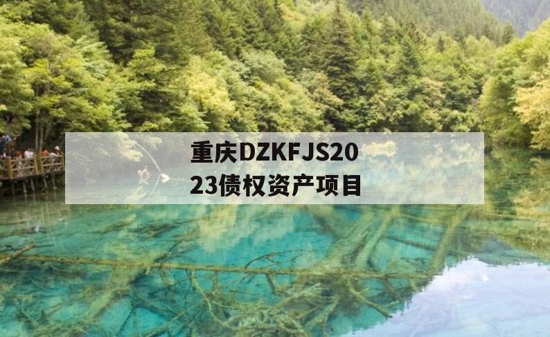 重庆DZKFJS2023债权资产项目
