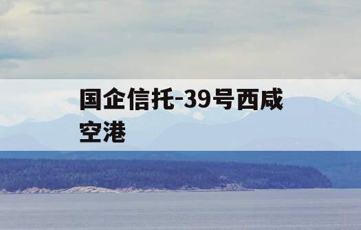国企信托-39号西咸空港
