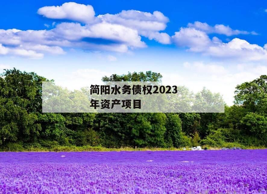 简阳水务债权2023年资产项目