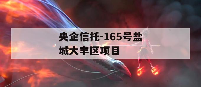 央企信托-165号盐城大丰区项目