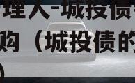XX管理人-城投债券逆回购（城投债的前世今生）