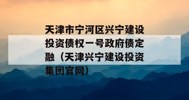 天津市宁河区兴宁建设投资债权一号政府债定融（天津兴宁建设投资集团官网）