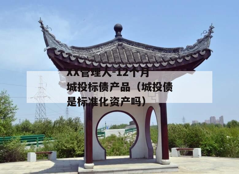 XX管理人-12个月城投标债产品（城投债是标准化资产吗）
