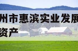 滨州市惠滨实业发展债权资产