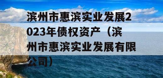 滨州市惠滨实业发展2023年债权资产（滨州市惠滨实业发展有限公司）
