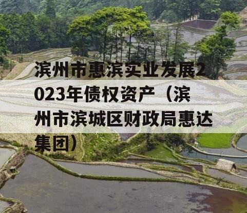 滨州市惠滨实业发展2023年债权资产（滨州市滨城区财政局惠达集团）