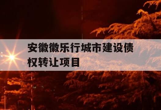 安徽徽乐行城市建设债权转让项目