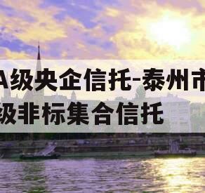 A级央企信托-泰州市级非标集合信托