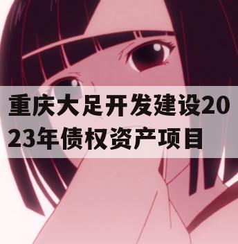 重庆大足开发建设2023年债权资产项目