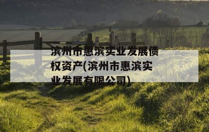 滨州市惠滨实业发展债权资产(滨州市惠滨实业发展有限公司)