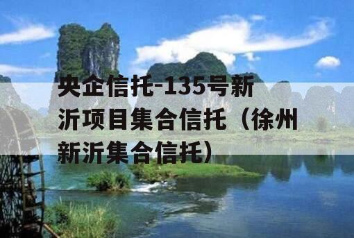 央企信托-135号新沂项目集合信托（徐州新沂集合信托）
