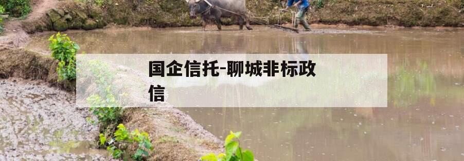 国企信托-聊城非标政信