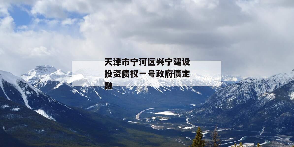 天津市宁河区兴宁建设投资债权一号政府债定融