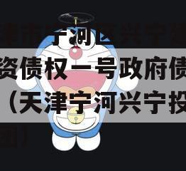 天津市宁河区兴宁建设投资债权一号政府债定融（天津宁河兴宁投资集团）
