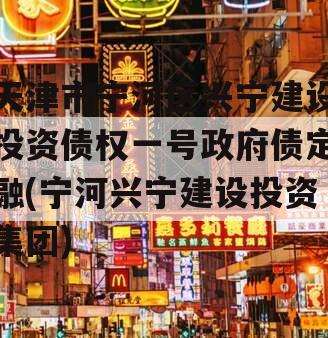 天津市宁河区兴宁建设投资债权一号政府债定融(宁河兴宁建设投资集团)