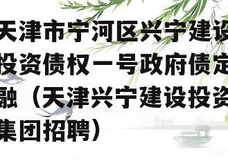 天津市宁河区兴宁建设投资债权一号政府债定融（天津兴宁建设投资集团招聘）