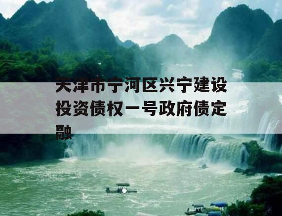 天津市宁河区兴宁建设投资债权一号政府债定融