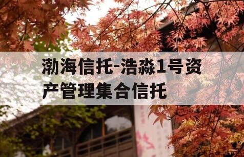 渤海信托-浩淼1号资产管理集合信托