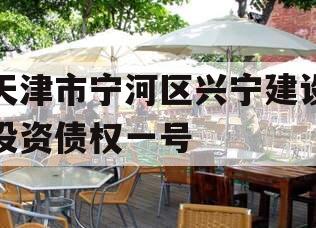 天津市宁河区兴宁建设投资债权一号