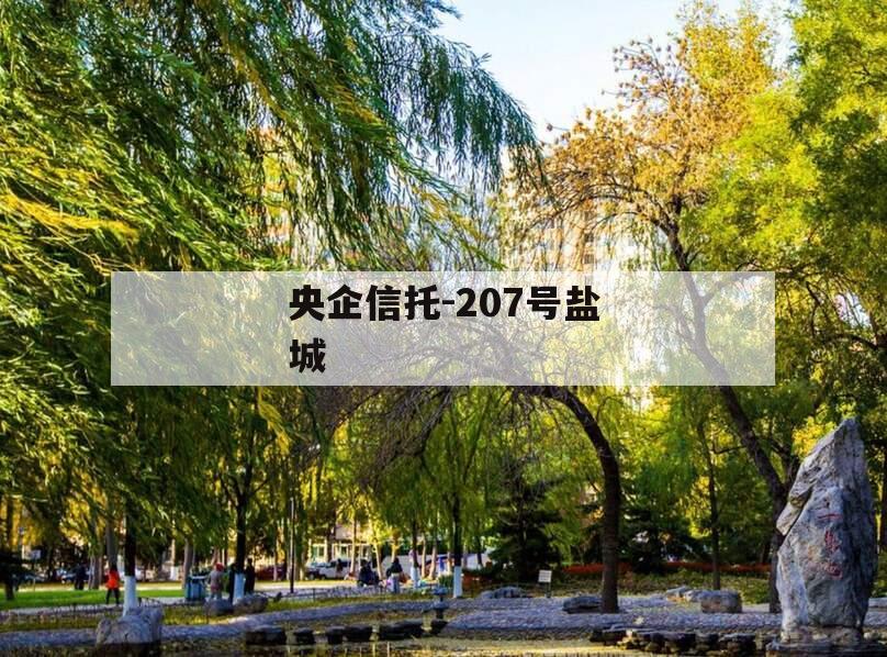 央企信托-207号盐城