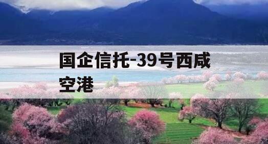 国企信托-39号西咸空港