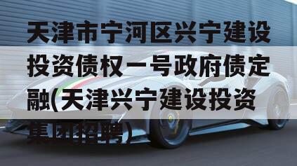 天津市宁河区兴宁建设投资债权一号政府债定融(天津兴宁建设投资集团招聘)