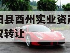 酉阳县酉州实业资产收益权转让