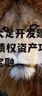 重庆大足开发建设2023年债权资产项目政府债定融