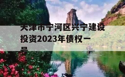 天津市宁河区兴宁建设投资2023年债权一号